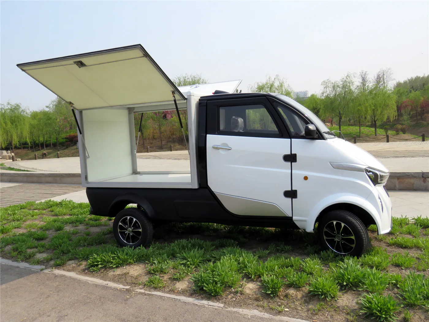 Hot sale electric quadricycle electric rechargeable cars in automobiles