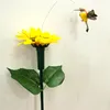 Colibrí girasol amarillo