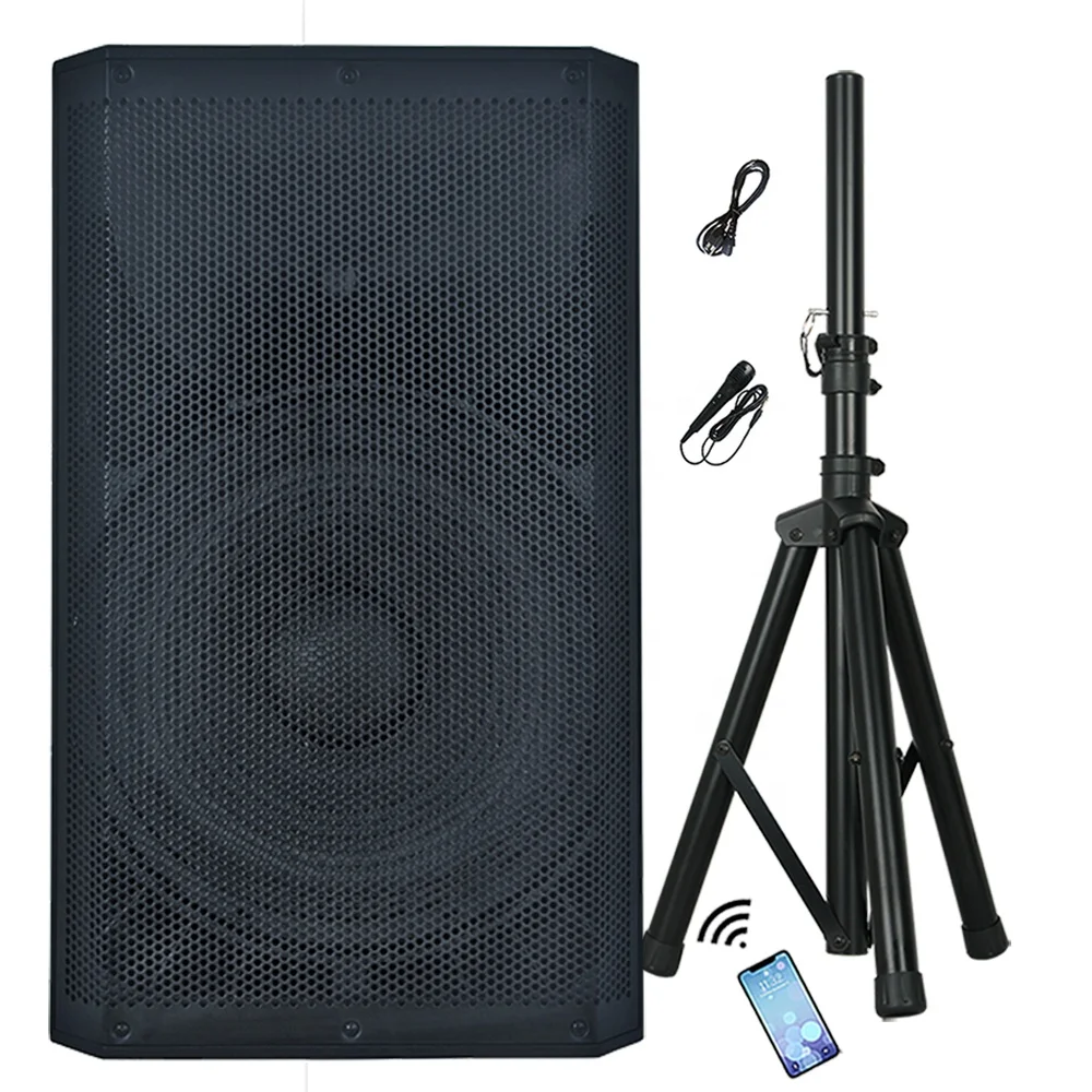 Professional Audio 5000W 15