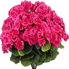 rose foncé