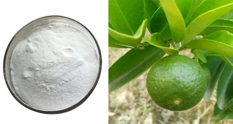 Factory Supply Synephrine Hcl Synephrine Extract Powder for Sale