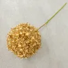 Palla d'oro