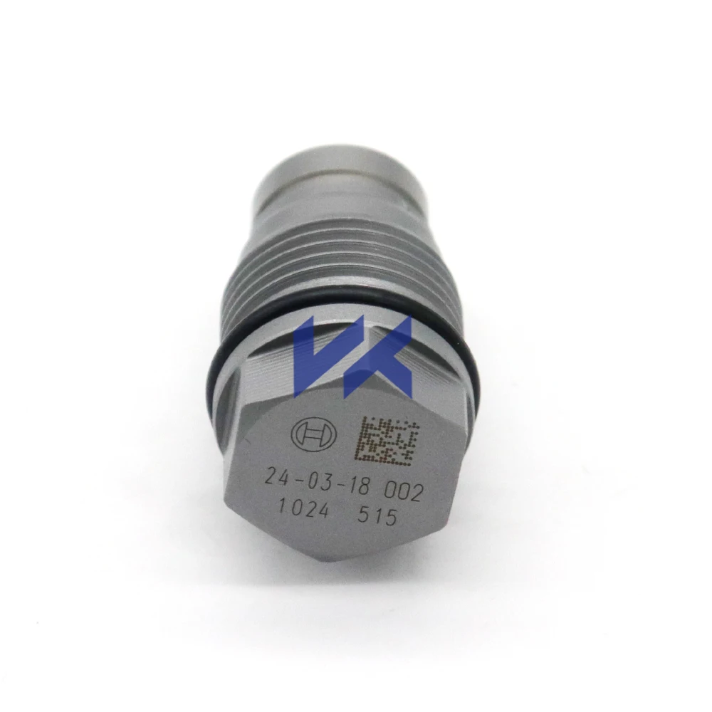 Pressure Limiting Valve 1110010028 1110010015 1 110 010 028 Diesel Fuel Injector