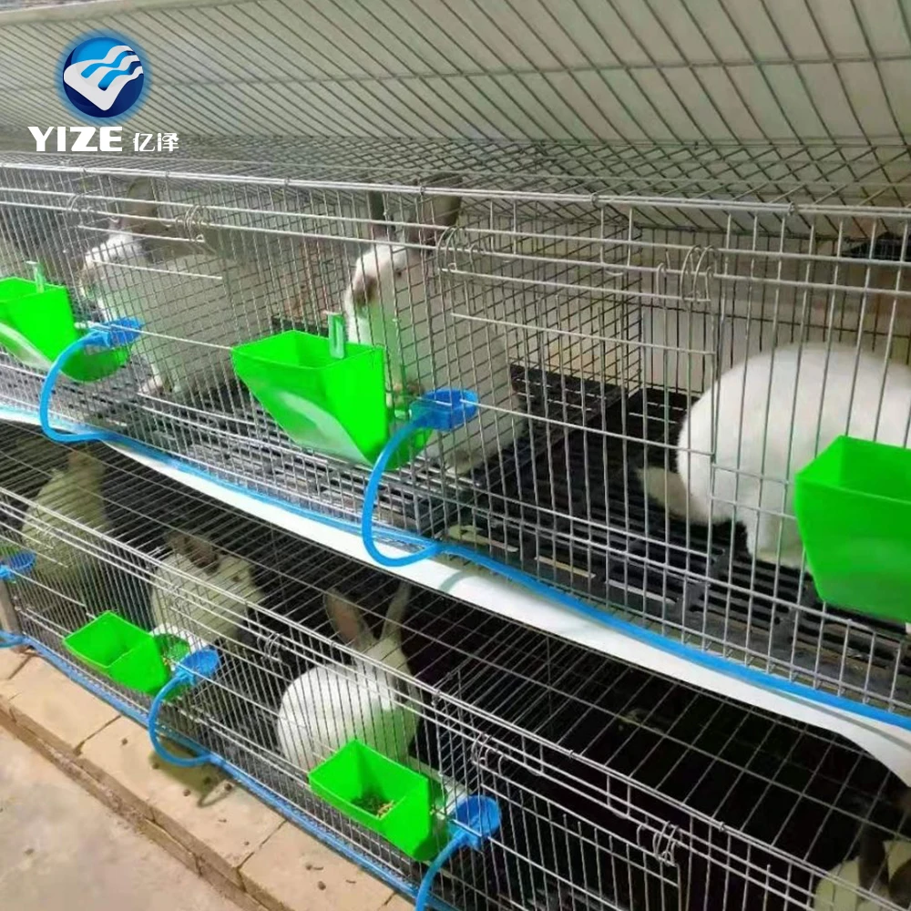 Large Indoor Automatic Rabbit Cage Industrial Rabbit Cage For Sale