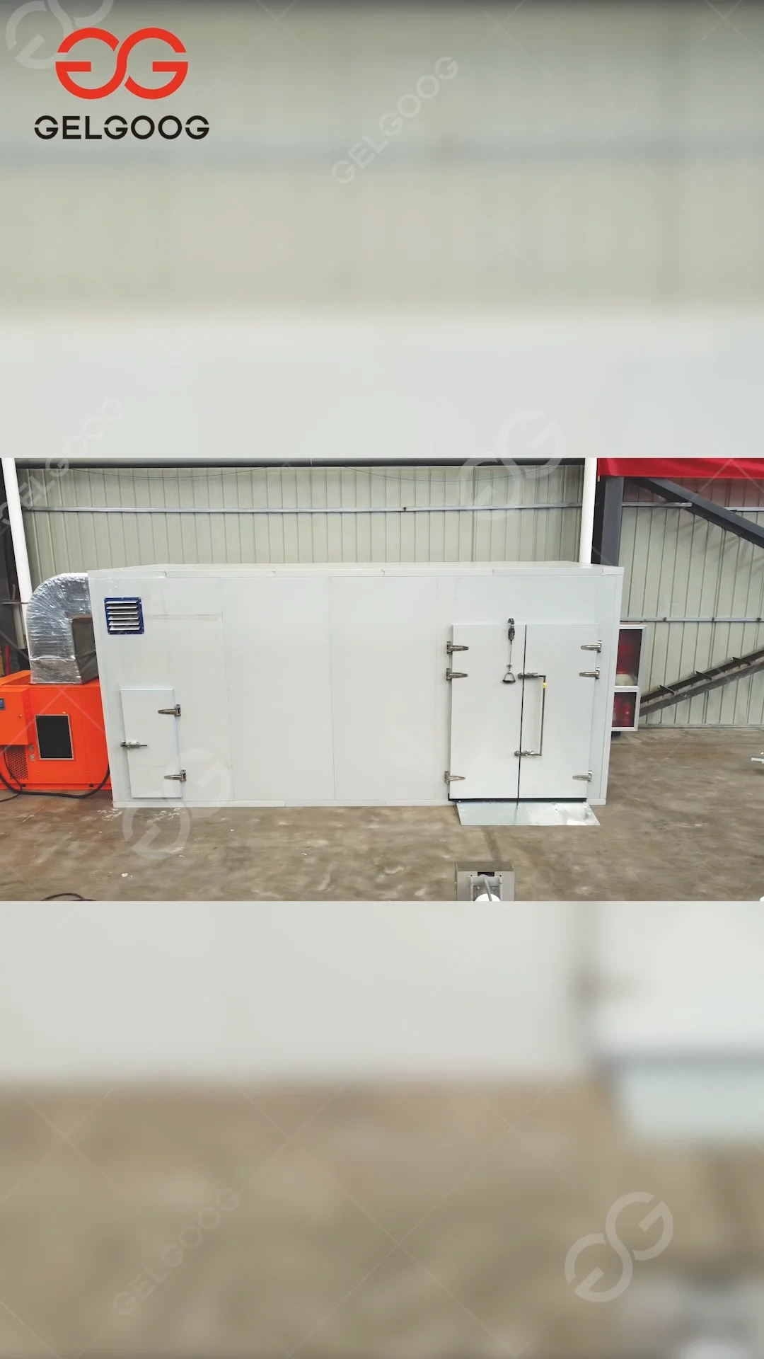 Electric Mesh Belt Cassava Black Pepper Dehydrator Green Olive Leaves