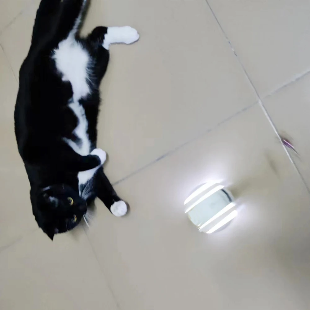 Interactive HD Camera Pet Toy for Dogs and Cats Automatic Silicone Rubber Pet Mate Robot Ball Funny Style Video Communication