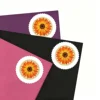 Marguerite Gerbera jaune 2022500374-D2-33-22HZJ