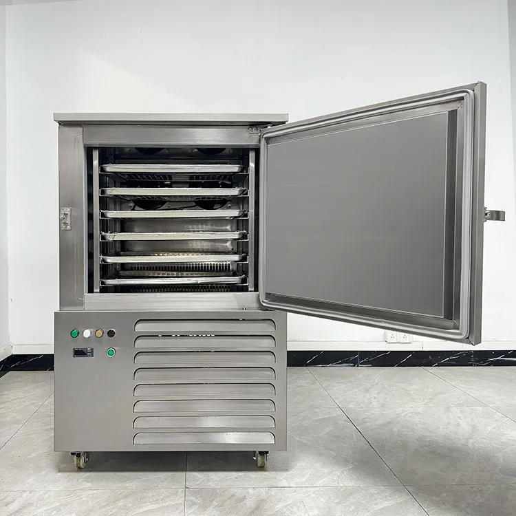 Blast Freezer, 45°C, Stainless, Steel - detail 4