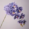 Azul Morado
