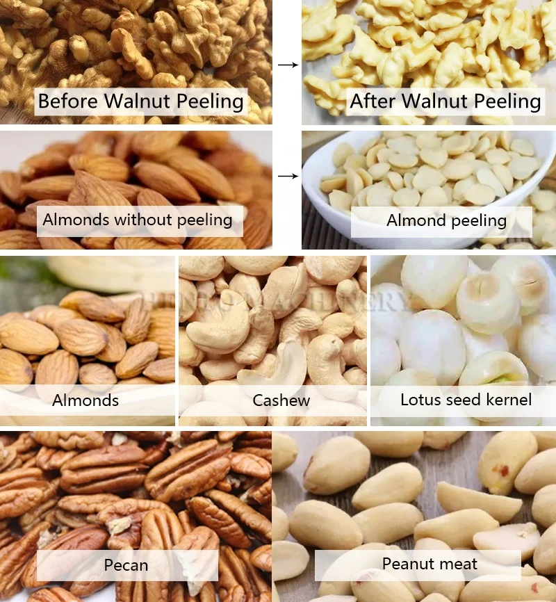 Energy-saving Pine Nut Cleaning Machine / Pecan Nuts Raw Washer Peeler / Walnut Kernel Without Shell Washing Machine