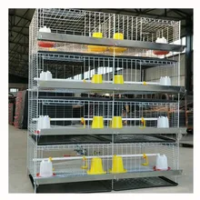 Chicken Cage Little Baby Chicks Egg Broiler Chicken cage With Automatic Drinking System
