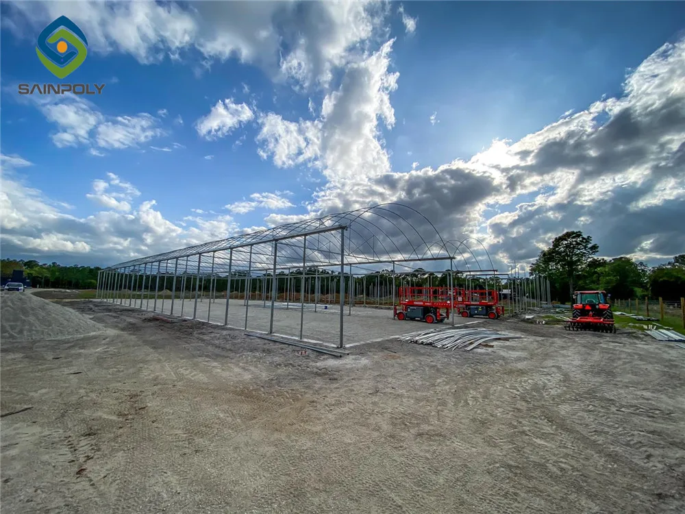 In Stock Large Greenhouse for Agricultural Tomato Hydroponics Turnkey Projects Made of Steel Poly with PC Sheet Cover for Sale