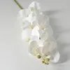 Orchidea cinematografica a 9 teste