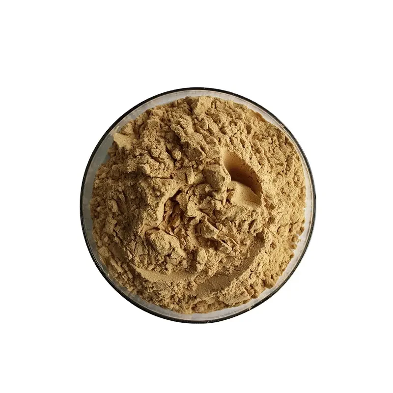 Dream Herb Extract 100% High Quality Dream Herb Extract Calea Zacatechichi Extract