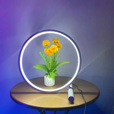 Chuse Modern Led RGB Colorful USB Plug Table Lamp Low Price Bedroom home Decor Circle Light Smart Lamp Among Us Lamp