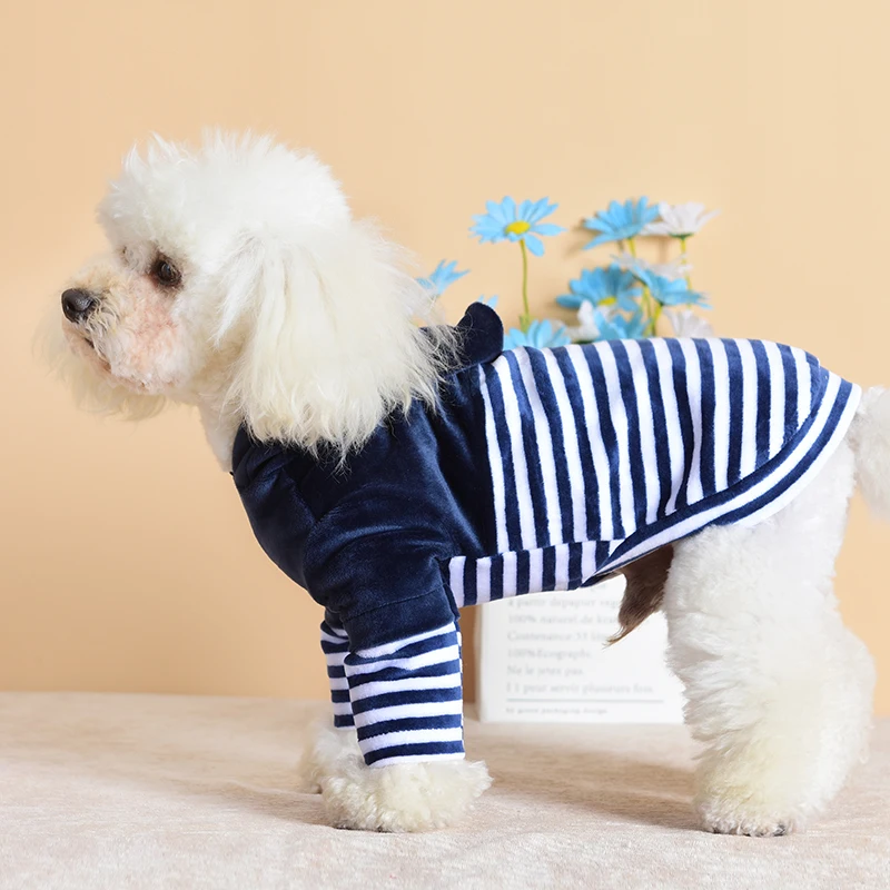 Felpa con cappuccio personalizzata di lusso per animali domestici, giacca  con tasca, abbigliamento alla moda, felpa con cappuccio per gatti, vestiti 