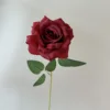 สีแดง