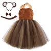 Costume da orso bruno