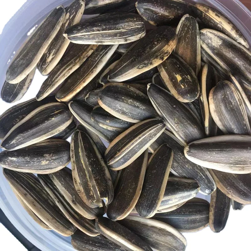 High-quality Sunflower Seeds Type 361, 363, 601 from China