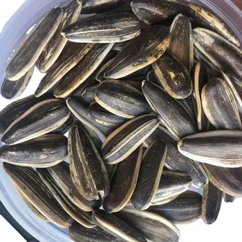 オ*ヤ様 激レア美品　CALORIFIXNo60 Sunflower 　ビンテー High-quality Sunflower Seeds Type 361, 363, 601 from China