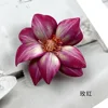 Double-layer - Rose Red
