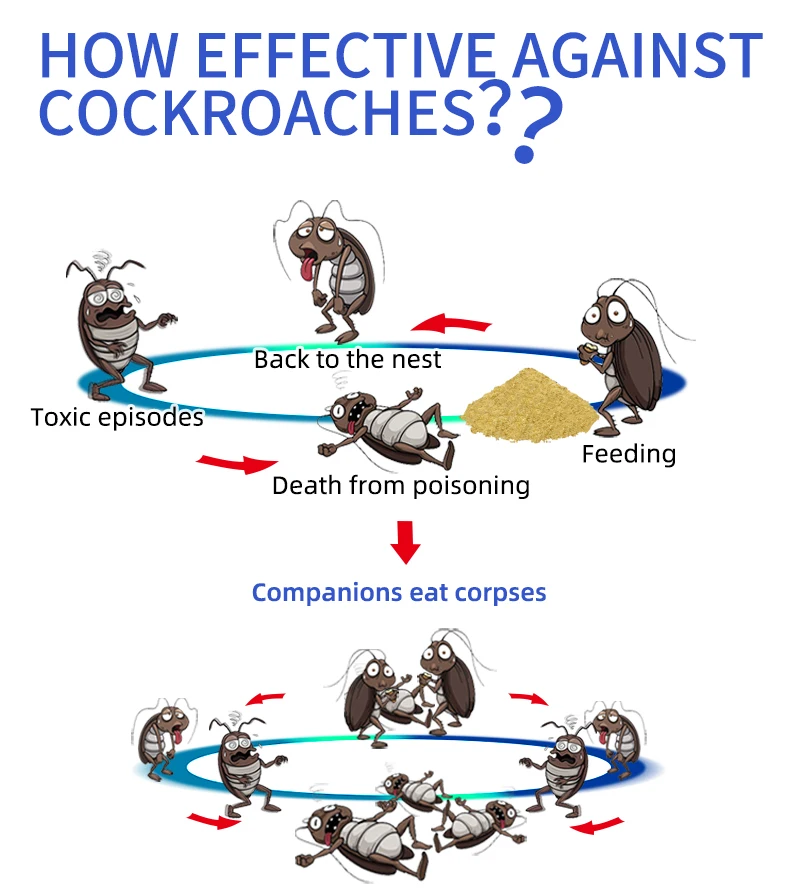 Cockroach powder bait03.jpg