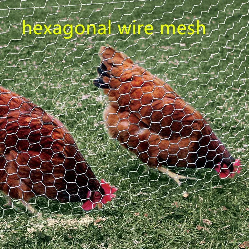 s Choice PVC Coated or Galvanized Hexagonal Chicken Wire Mesh  for Poultry (HWM) - China Chicken Wire, Hexagonal Wire Netting