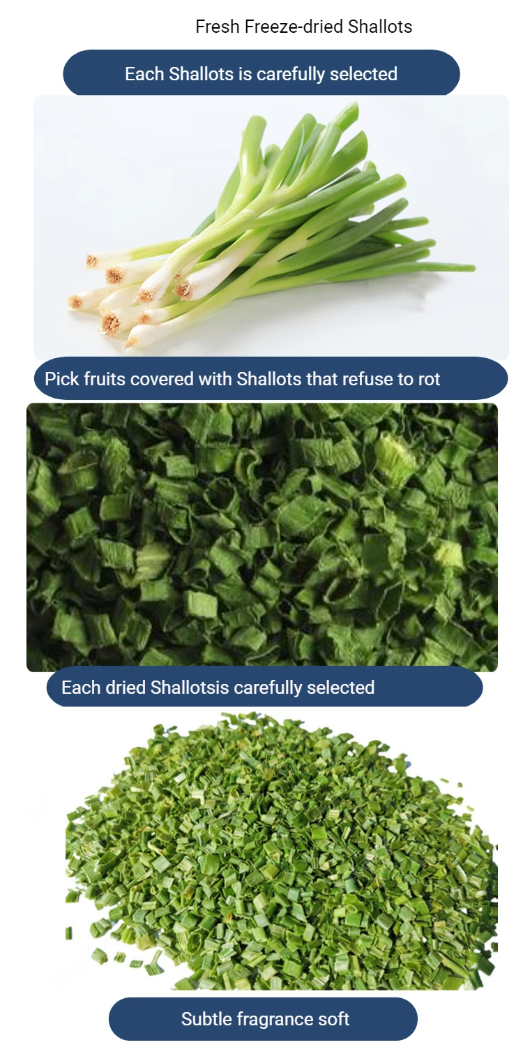 Freeze Dried Vegetable Freeze Dried Shallots Buy Delicious Quick