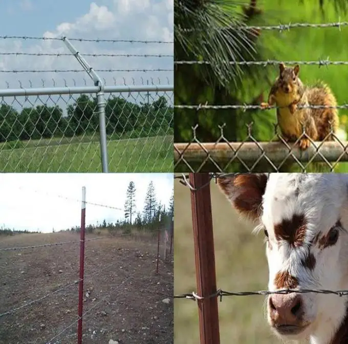 Factory Quality 12 Barbed Wire Fence Roll Length 200m Electric