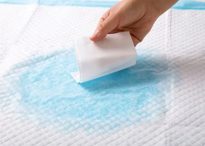 Функциональные подгузники для кормления, умеренное впитывание и нейтрализация мочи, мгновенно Обучающие подкладки для собак