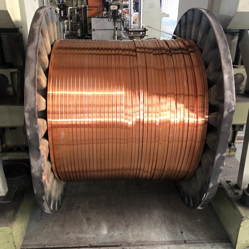 Pure Copper Strip C C C C Phosphor Bronze