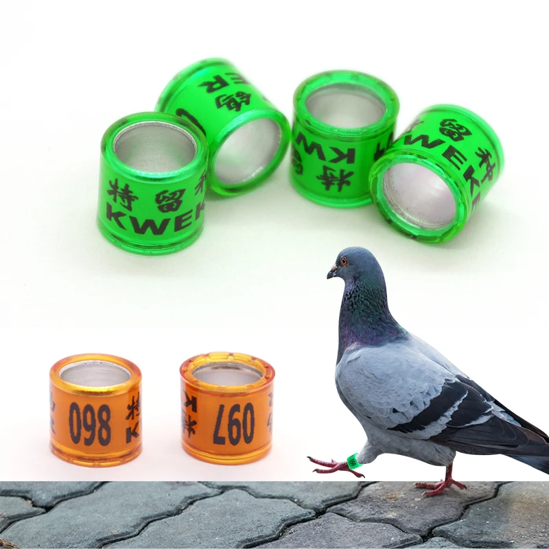 Bird / Ring for 2023 yar Racing Pigeon Rings Pigeon Leg Bands Multicolor  8mm Tag ( 30 pice )