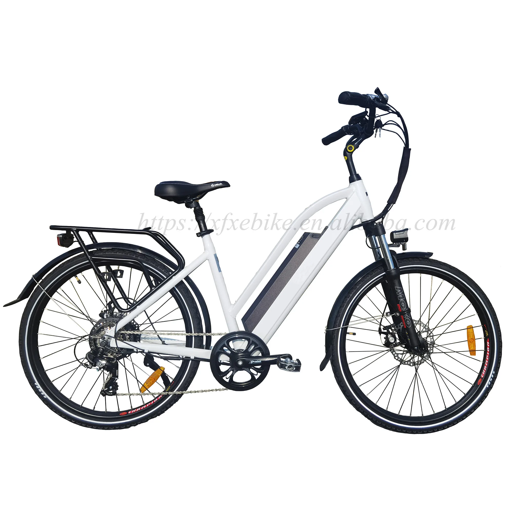 Electric Bike by Chinese Manufacturer 500 Watt Power
