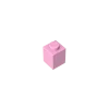 Rosa brillante-011