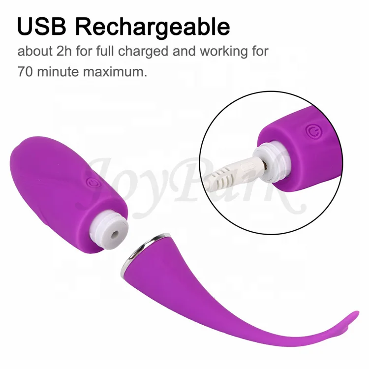 JoyPark Delfin-Massagegert Handy Erotik-Spiele Video Wiederaufladbarer  Damen-Slip-Vibrator Fernbedienung App-Steuerung Vibrator