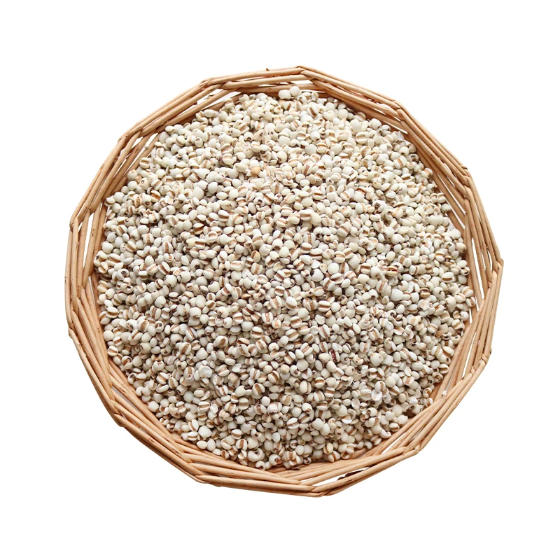 High Quality organic pearled barley grain chinese pearl barley powder dried pearl barley manufacture