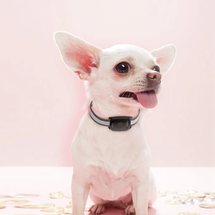 Real Time Tracking Smart Geo Fencing Pet Collar GPS Tracker for Dog Cat