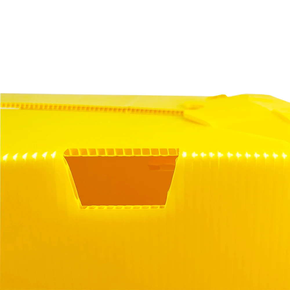 Custom Recyclable Corrugated Cardboard Packaging Box for Fruits & Vegetables Hollow Sheet Orange Fruit Vegetable Gift Packaging
