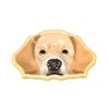 Labrador