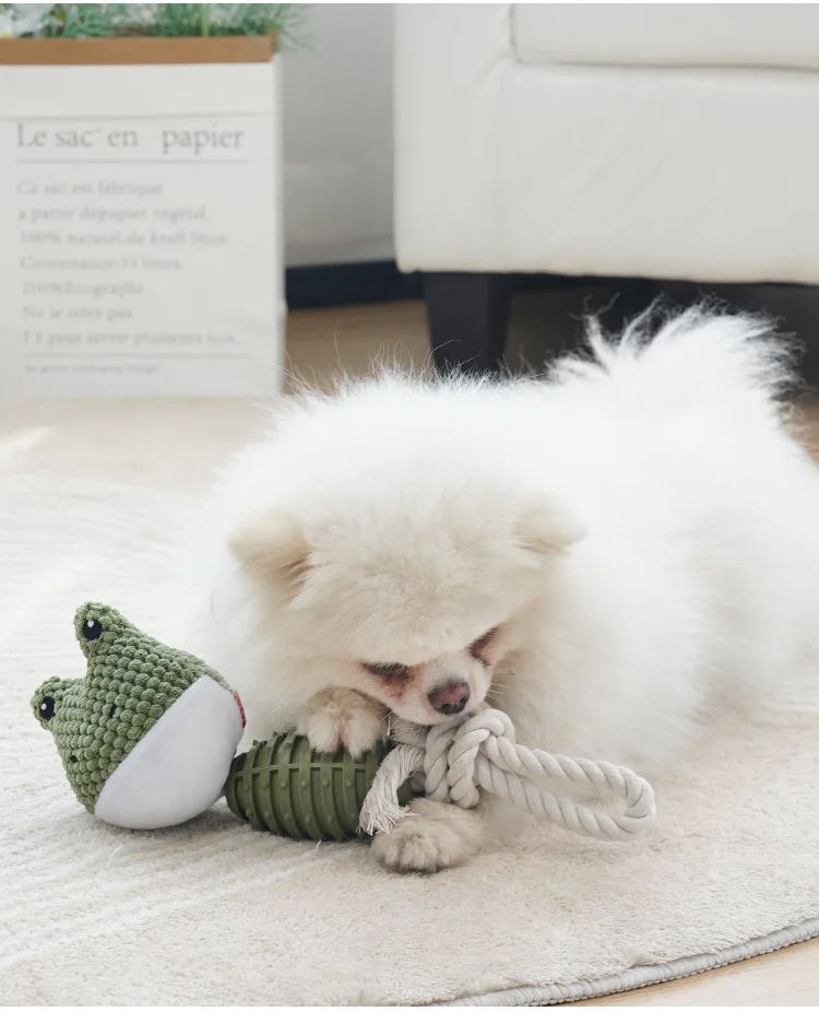 Dog playing with squeaky rope plush toy