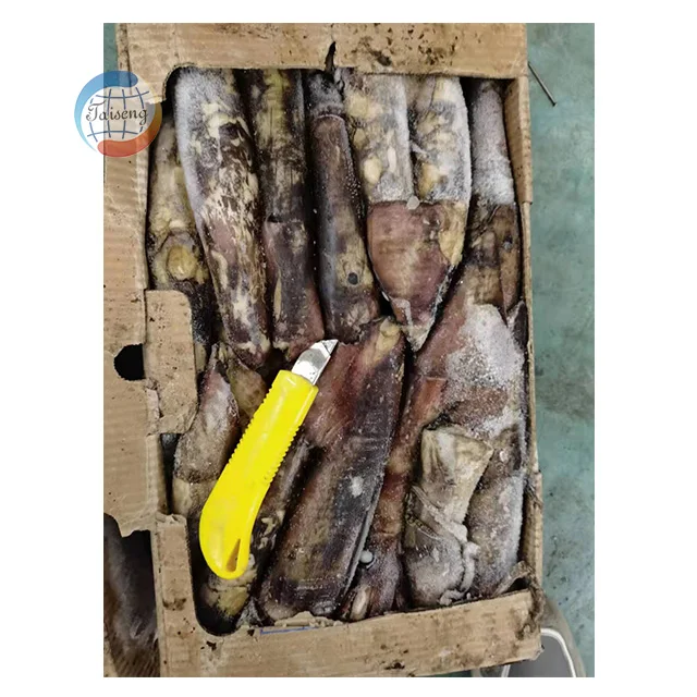 Cheap Fresh Seafood Frozen Calamari Indian Squid