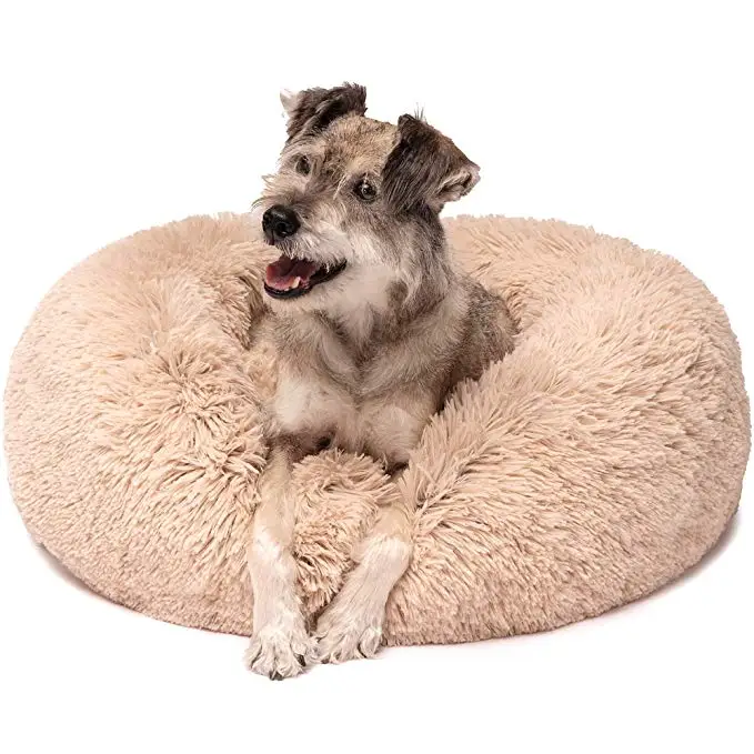 vegan dog bed