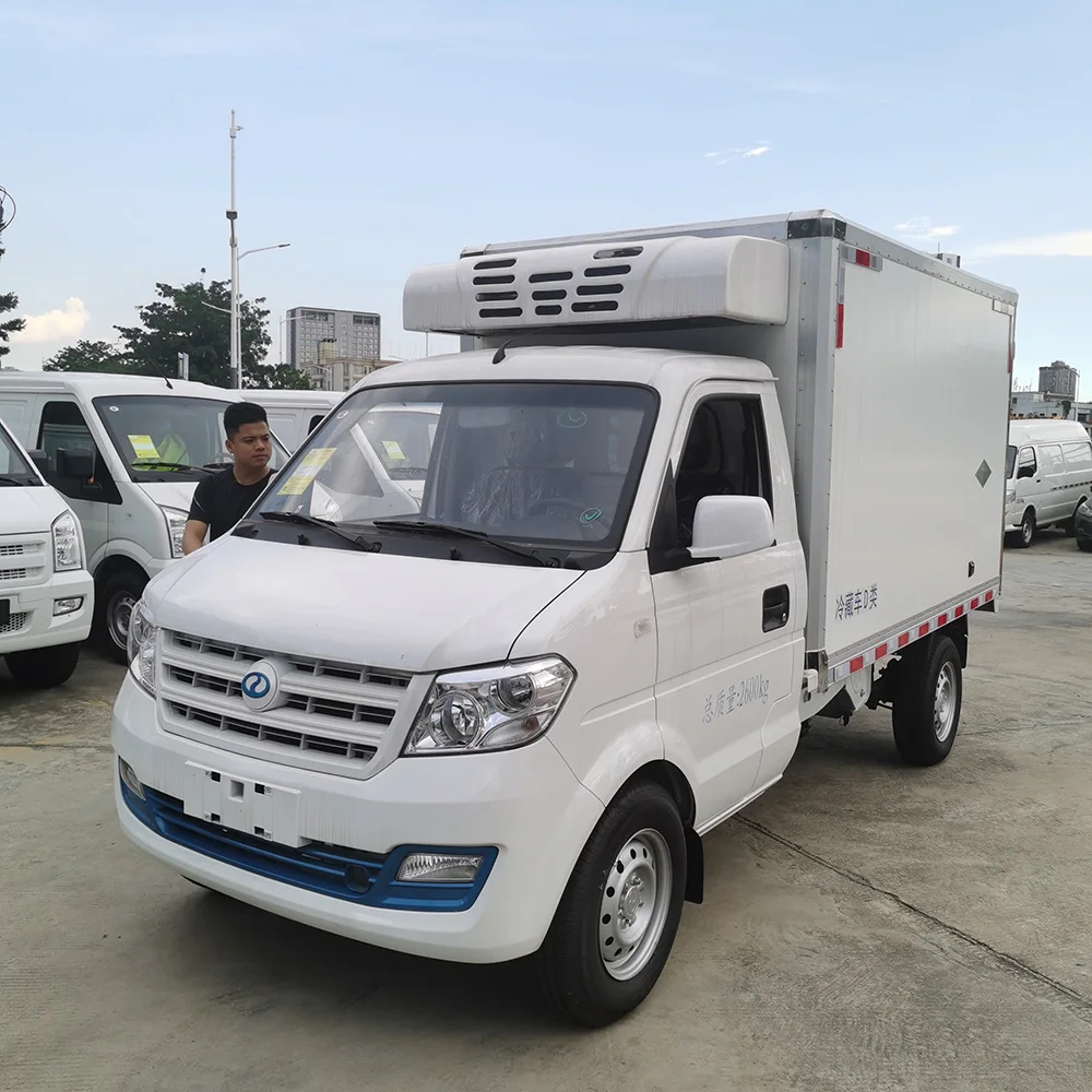 Dfsk Eu Certificate Electric Truck Electric Van Eec Ec31 Electric Refrigerated Vans Reefer Cargo