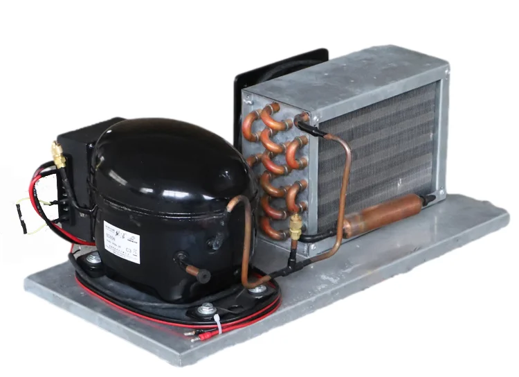 BD65HC Small Portable DC12V 24V Condensing Unit for Freezer Fridge Dehumidifier With Temperature Control