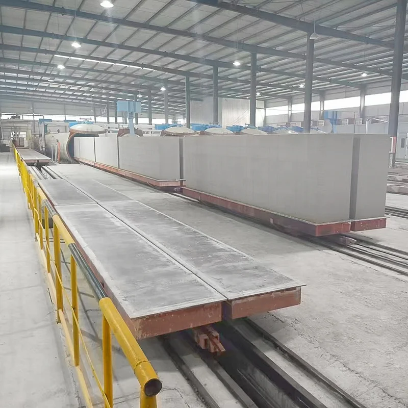 Automatic AAC Block Manufacturing Plant Lightweight Sand Lime AAC Brick Making Machinery Aerocon Aac Blocks Making Machine