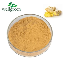 Ginger Root Extract