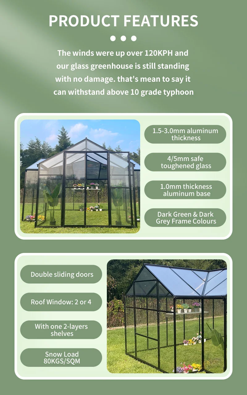 New Design Modern Big Greenhouses Glass Garden Greenhouses Cover Frost