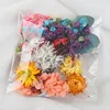 colorful-6