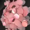 SP453-4