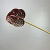 Dark Red